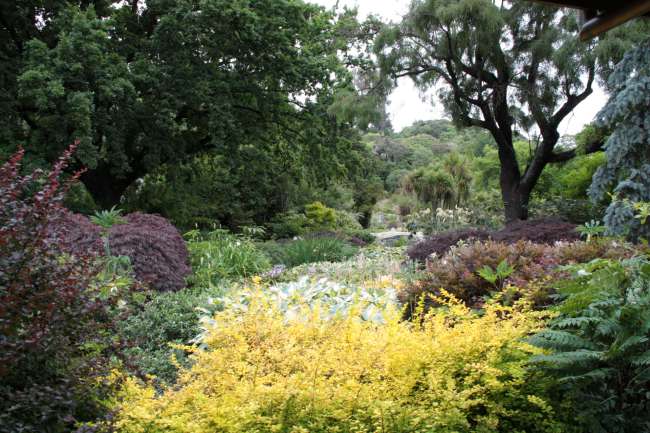 Botanischer Garten in Dunedin