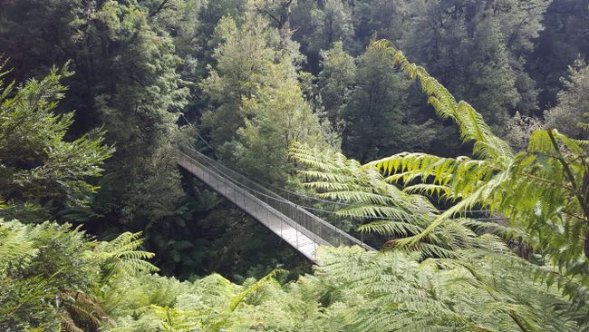 Suspension Bridge in Trara Valley