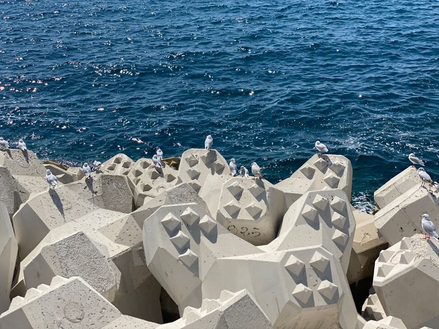 Nizza, ach ne, Cannes 