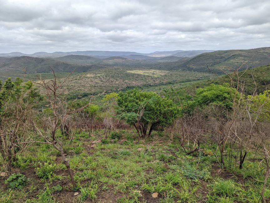 Hluhluwe-Imfolozi-Nationalparks