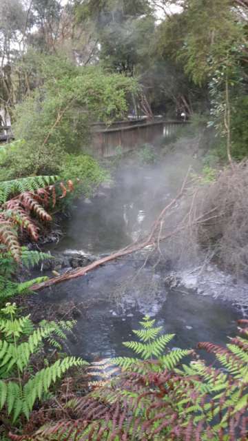 Rotorua Geothermal Gardens