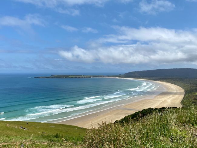 The Catlins on the South Island in NZ