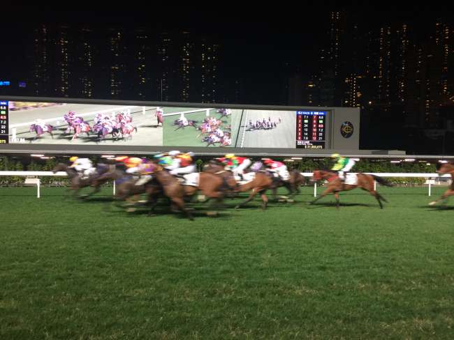 Mongkok Markets+ Horse Racing
