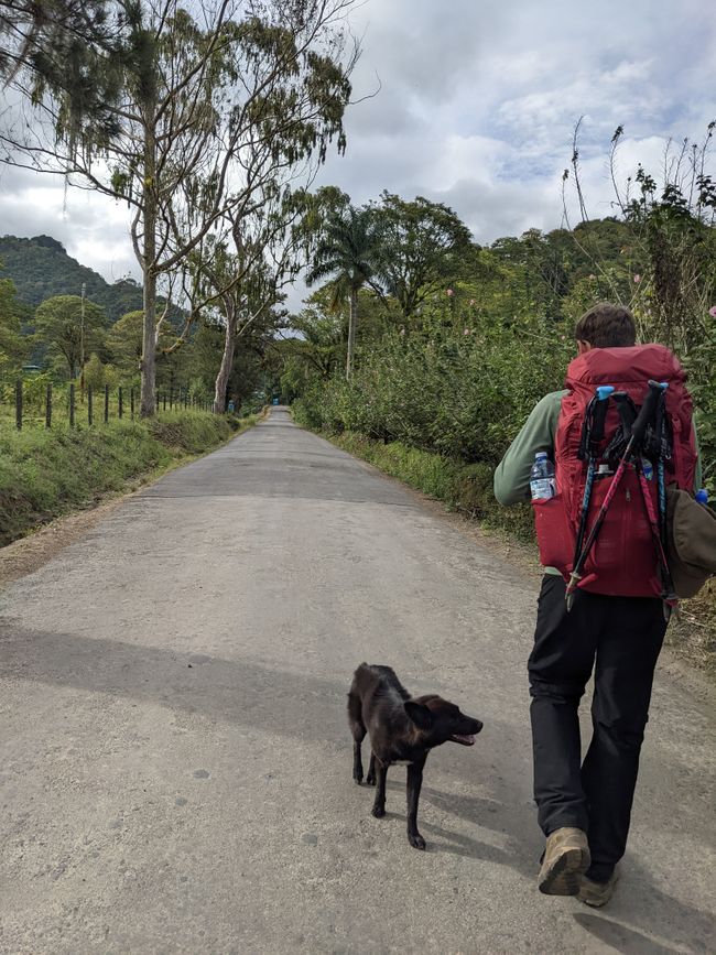 Etappe 8: Durch den Tapantí Nationalpark nach Orosí
