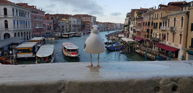 Venice/Mestre - Venice