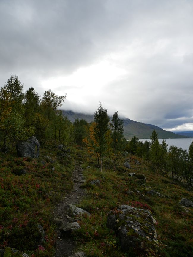 Jøkelfjord nach Alta und dann ins Nirgendwo