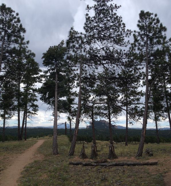 Hike West: Colorado Trail