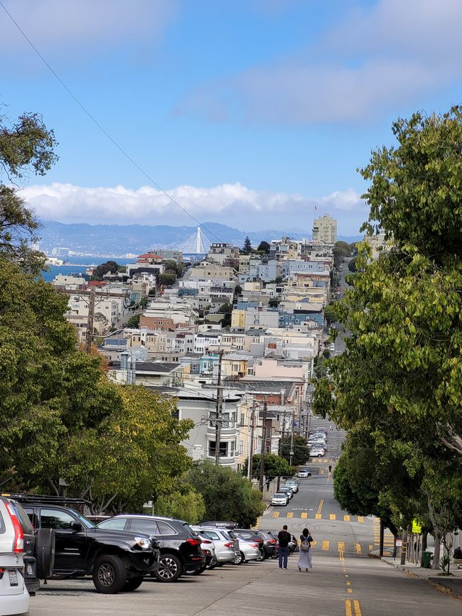 San Francisco & Surroundings