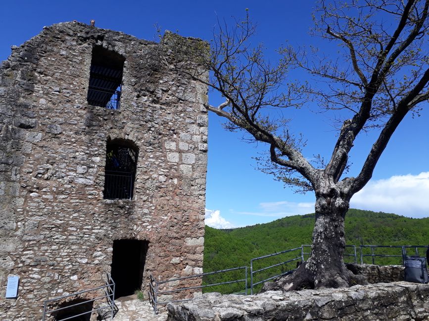 The remaining tower of Neideck Castle.