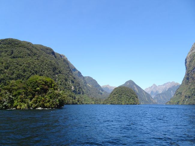 25.12.18 To Christmas in Doubtful Sound