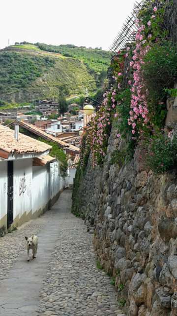 Alley in Cusco