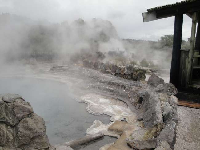 Rotorua landscape and geothermal phenomena