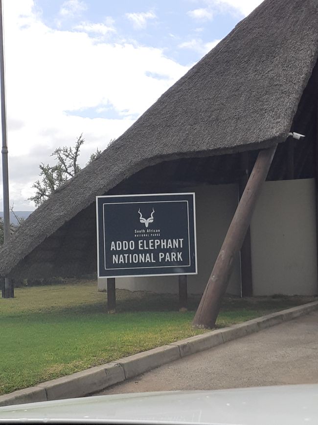 Im Addo Elephant Nationalpark