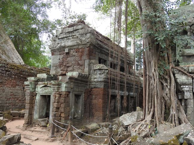 Ta Prohm - 'Tomb Raider' Temple