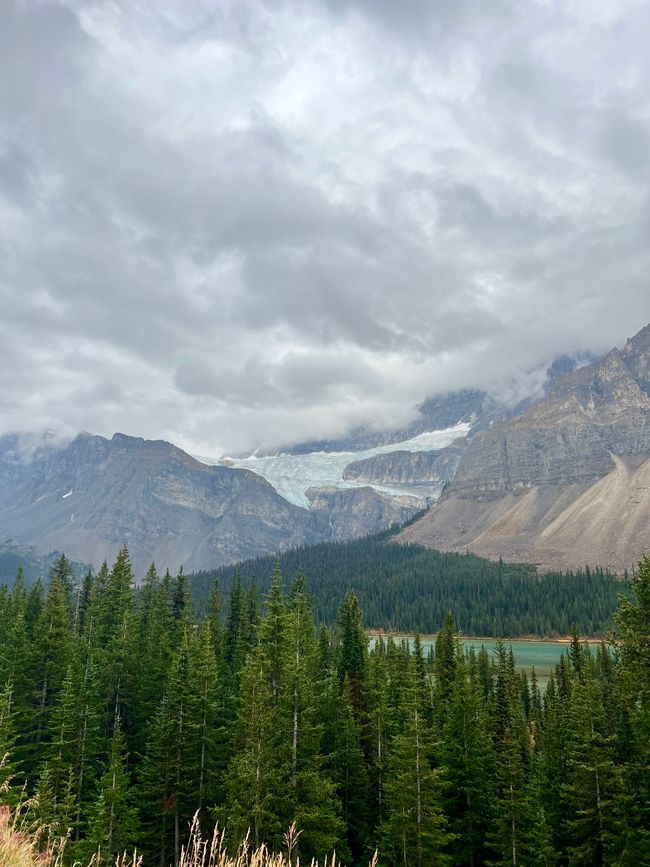 Day 6 Banff & Icefield Parkway