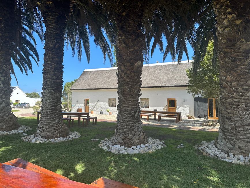 Hermanus ♥️