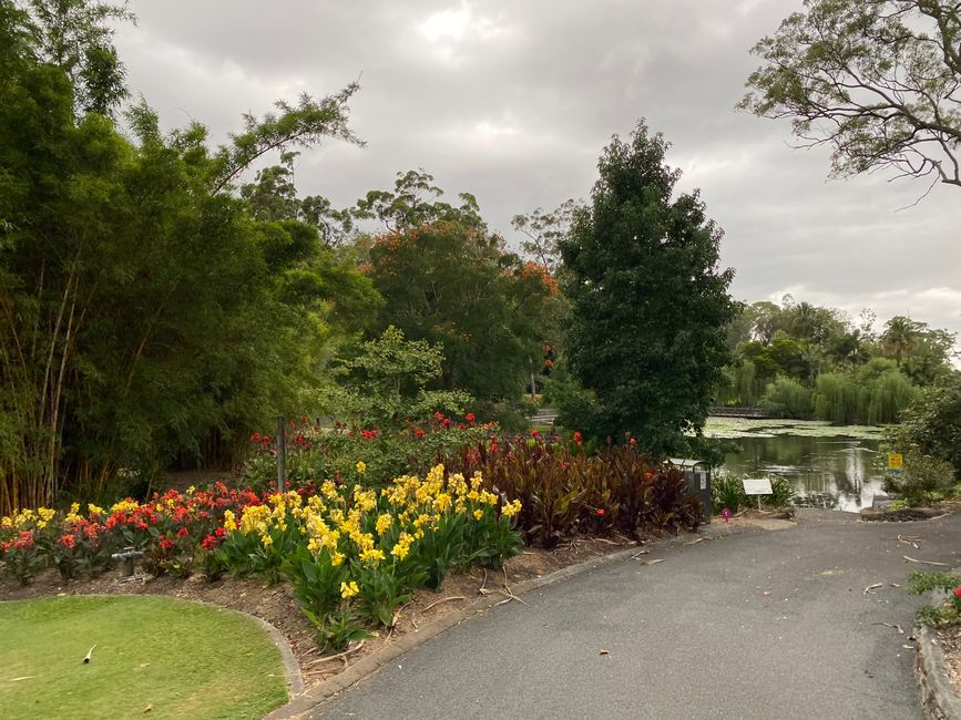 Mount Coot-tha und Botanic Gardens