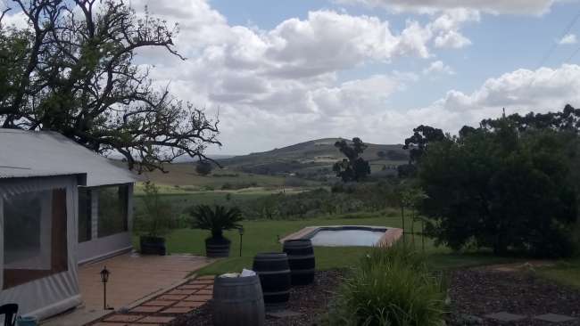 Wwoof bei Fynbos Estate, Malmesbury - South Africa