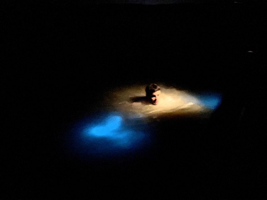 Luminous Lagoon or Glistening Waters in Falmouth