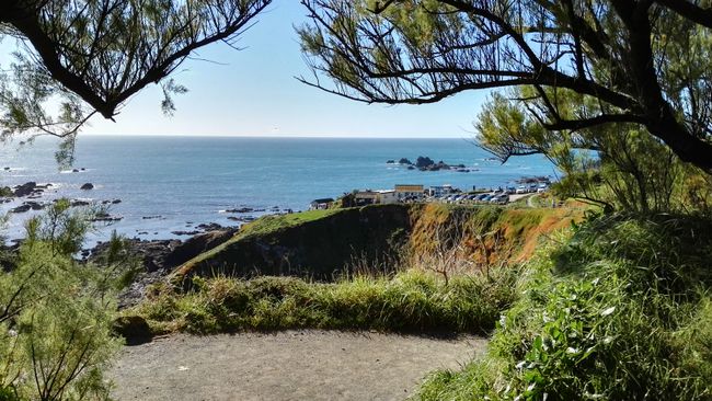 Lizzard Point 10/2017