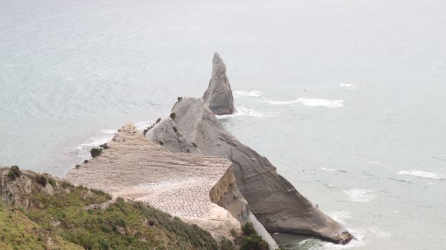 Day 17 Cape Kidnappers & Gannet Safari
