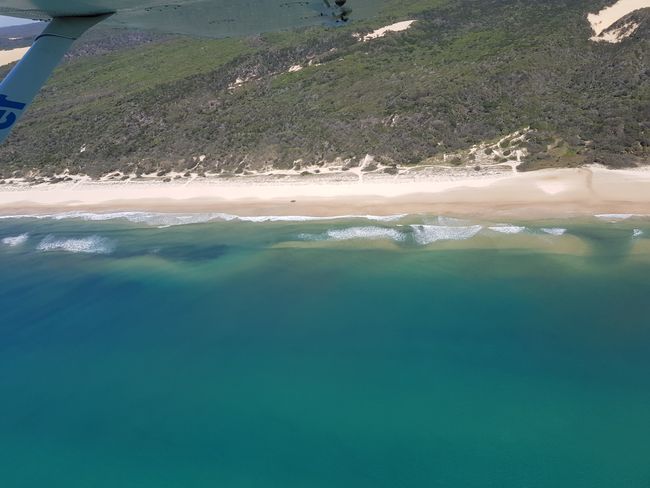 Fraser Island: Auf der größten Sandinsel der Welt