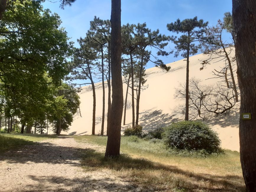 Dune on the backside