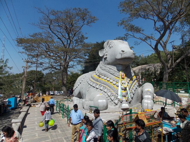 Nandi Bull in Mysore (eines der größten Statuen in Indien)