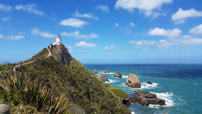 Nugget Point 