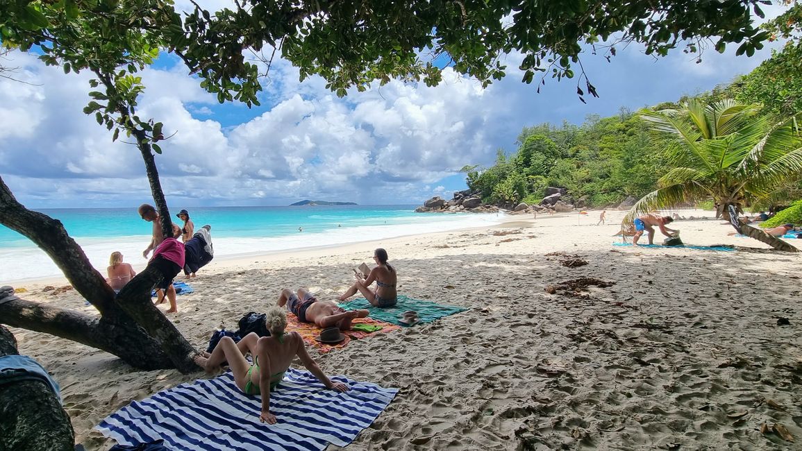 Seychelles 2023 - Part 2: Praslin
