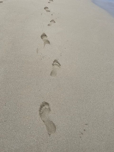 Traces in the sand
