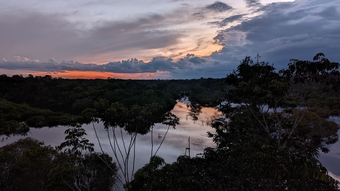 2. Día en la selva amazónica