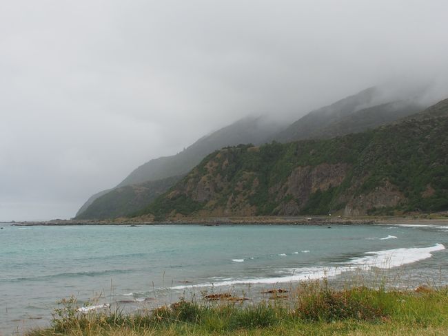 Day 23 - Seals, Kaikoura, and other things on the East Coast