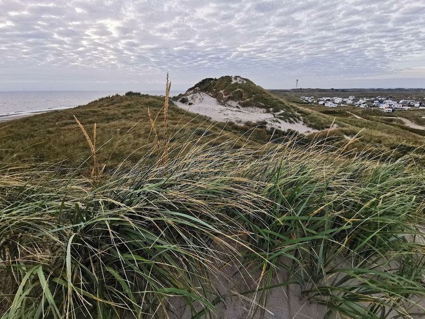 Dune landscape at Nörre Lyngvig