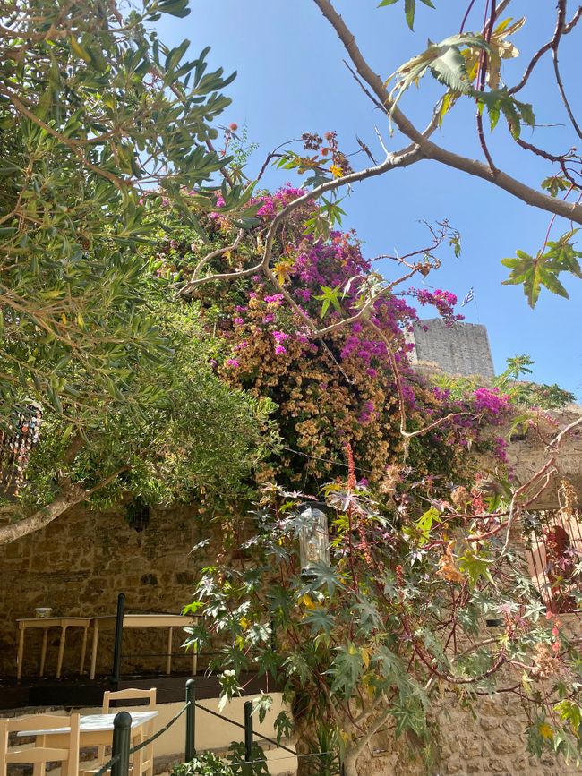 Kerkyra
