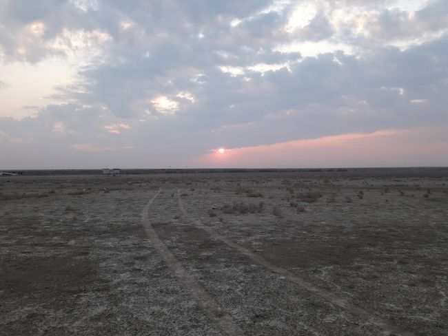 Morning in the steppe