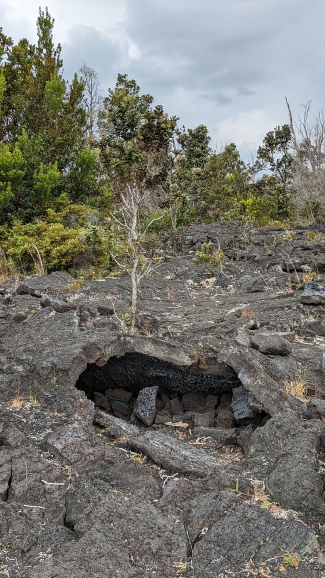 Tag 12 Big Island – Volcanoes Nationalpark & Lava Viewing