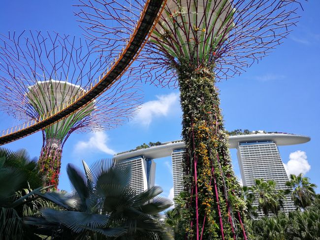 Singapore's Garden