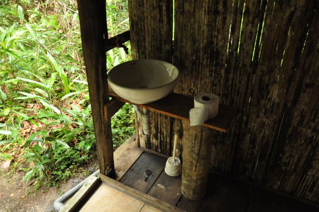 The bathrooms had rainforest access