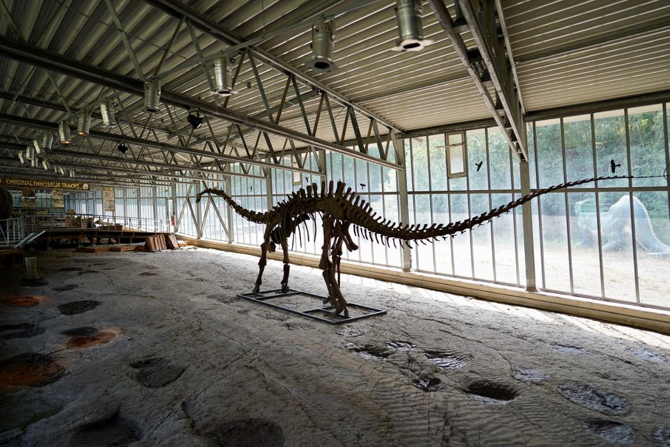 Tag 4: Ich glaub, die Dinos sind da!