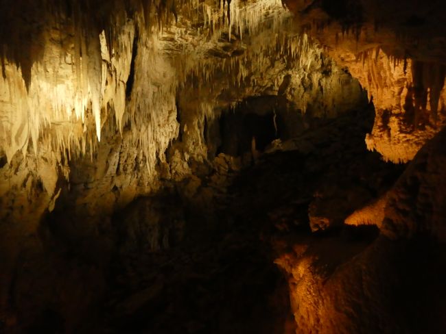 Ruakuri Caves