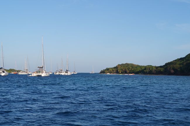 Busy in the Tobago Cays