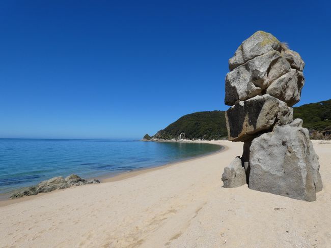 Dream beaches in Abel Tasman 😍