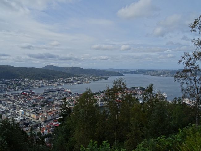 Bergen and Fishing II