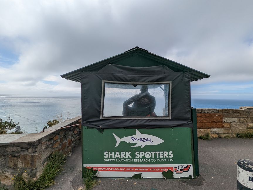 Cape Point Route 165 km
