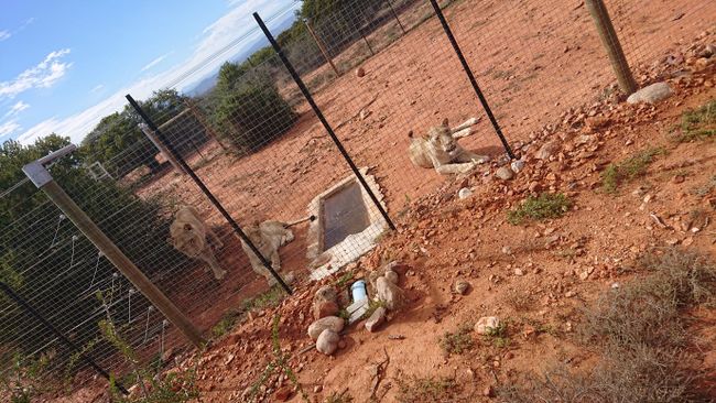 07.12.2018