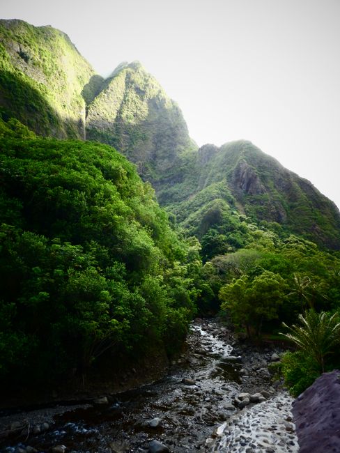 Maui-Das kleine Paradies