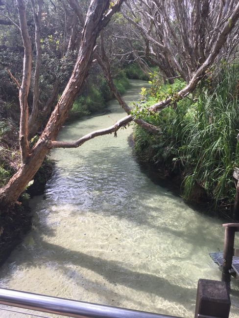 Family time Part 2 and the North Island of New Zealand