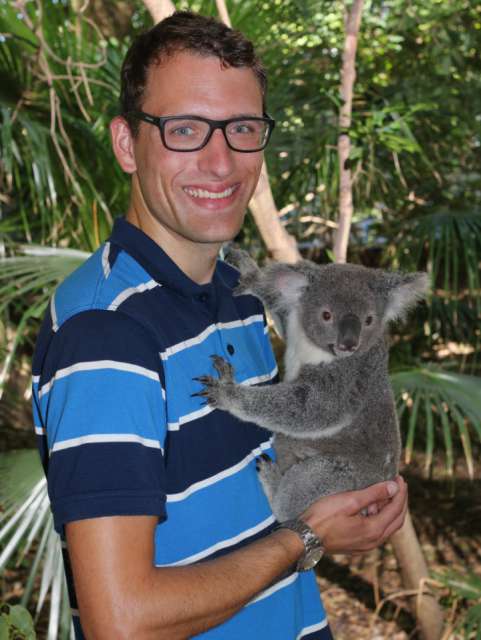 Koala-Foto