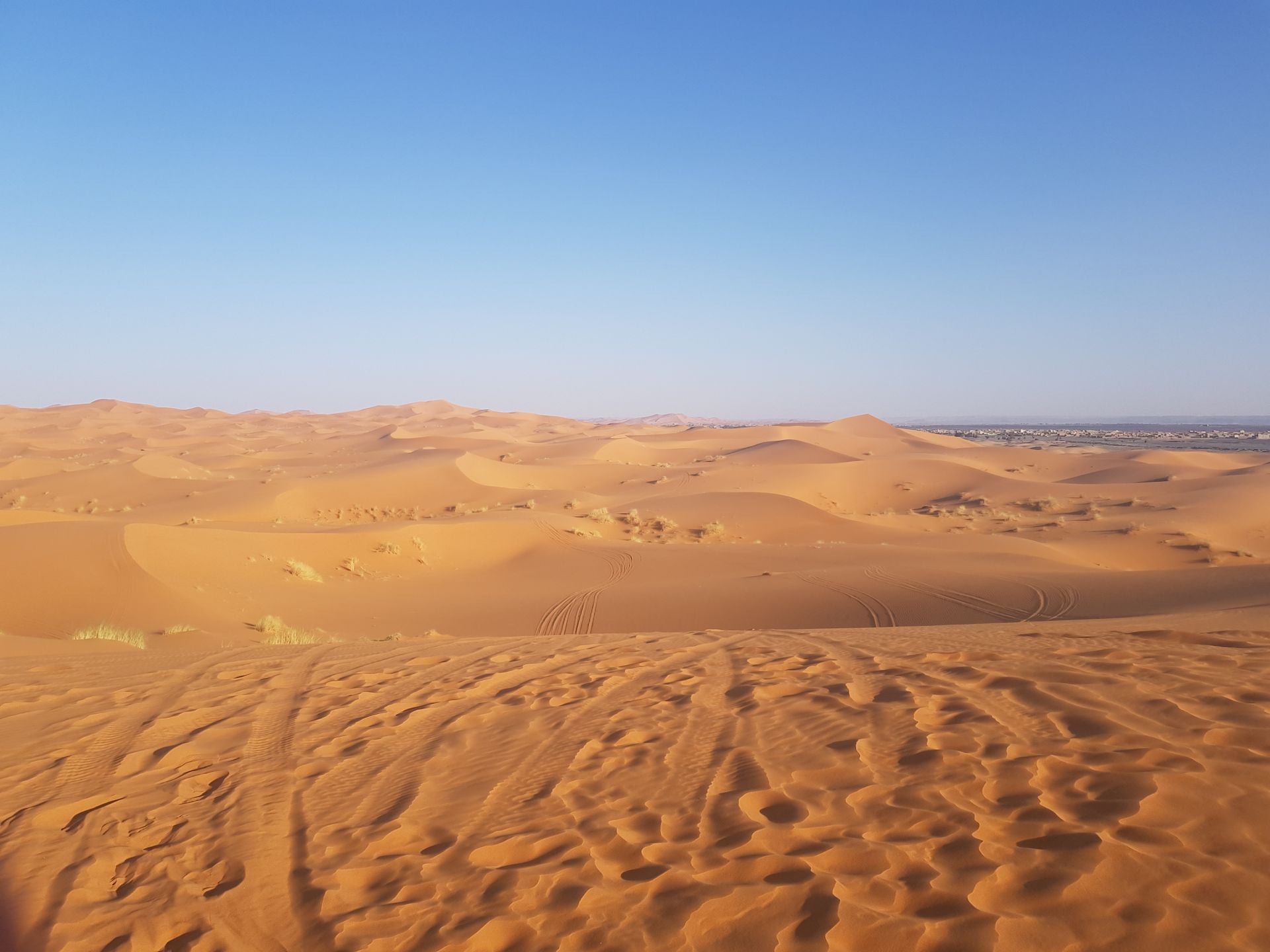 The infinite vastness of the Sahara 